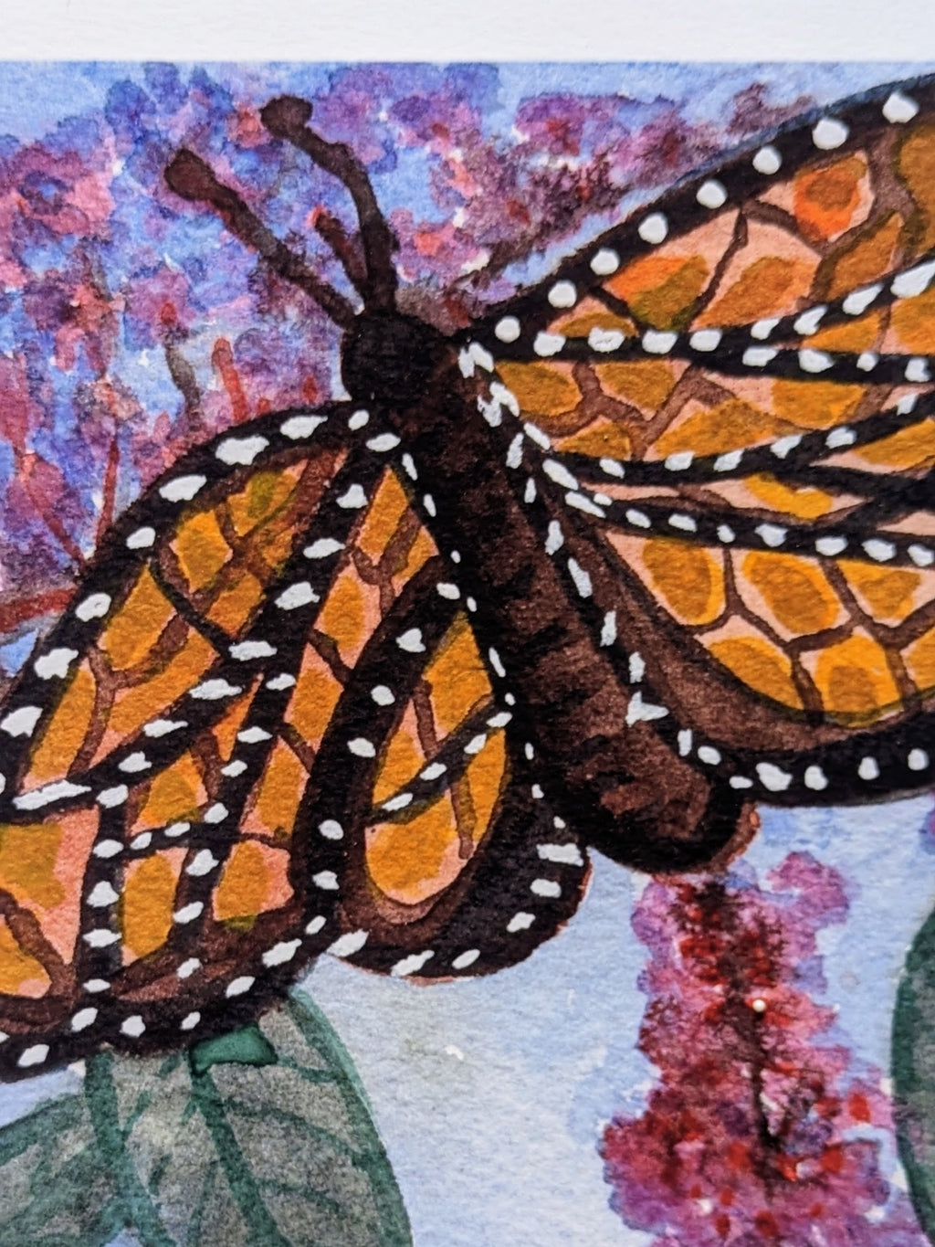 Monarch Butterfly — Limited Edition Art Print