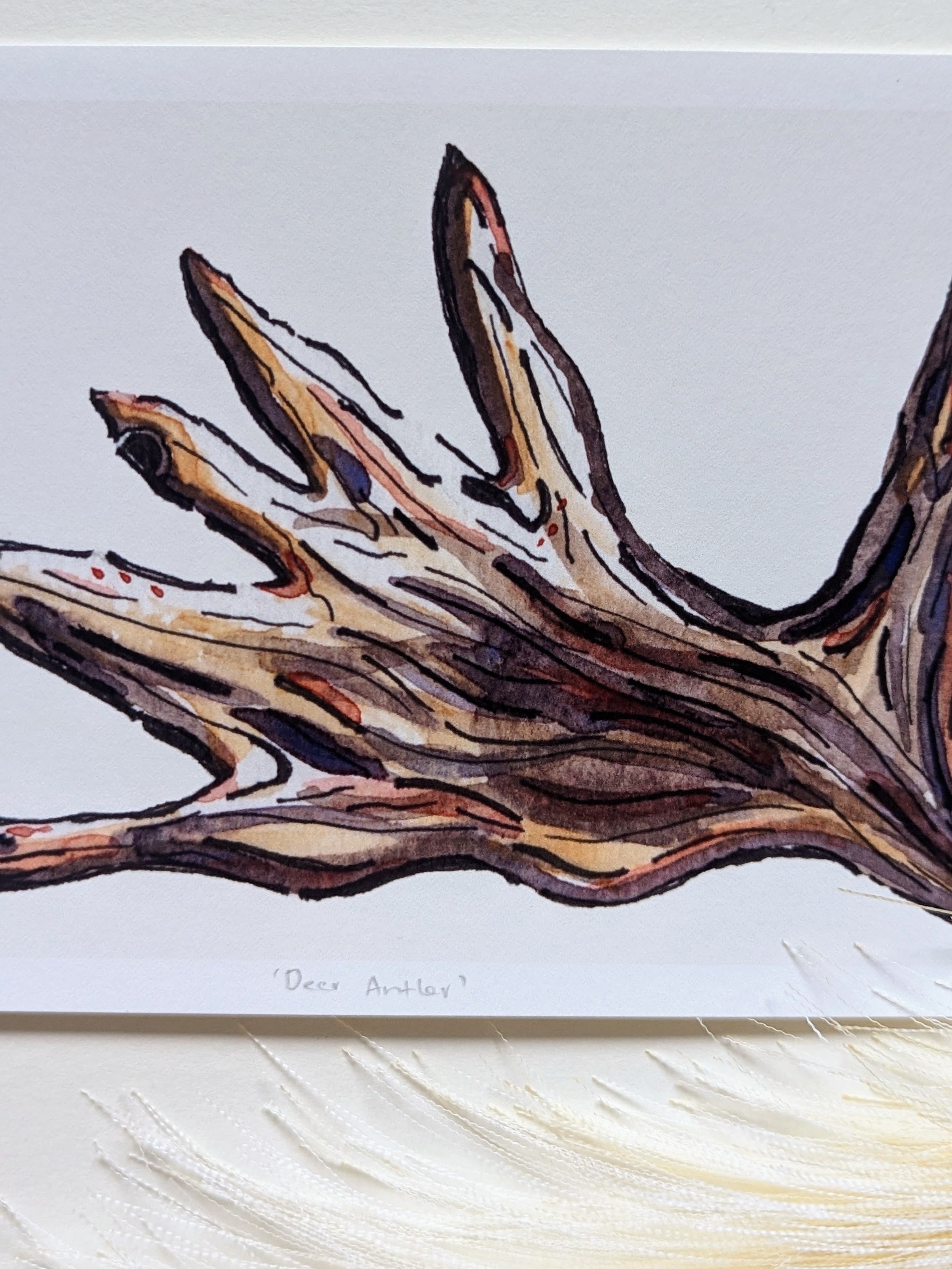 Deer Antler — Limited Edition Art Print
