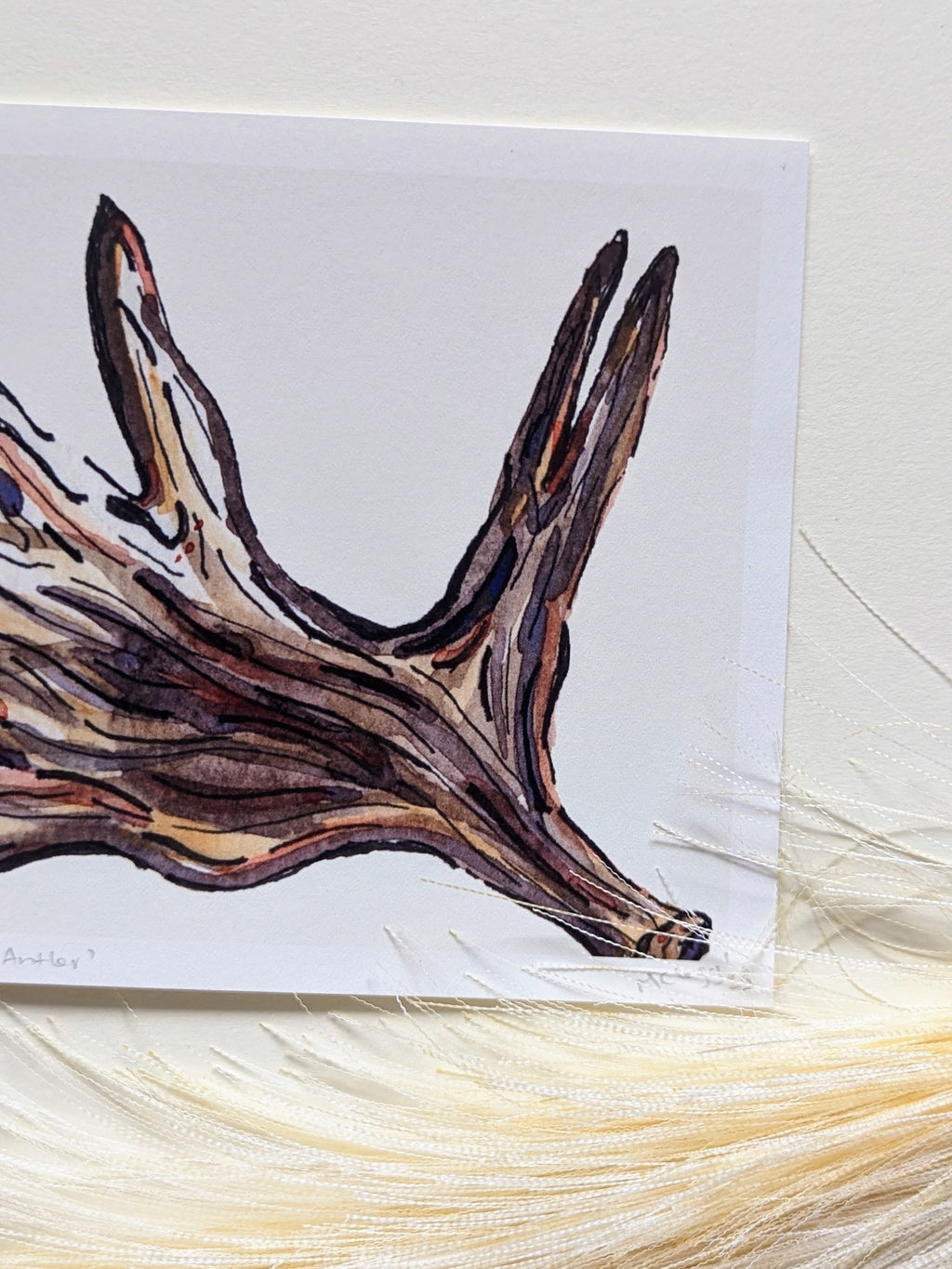 Deer Antler — Limited Edition Art Print