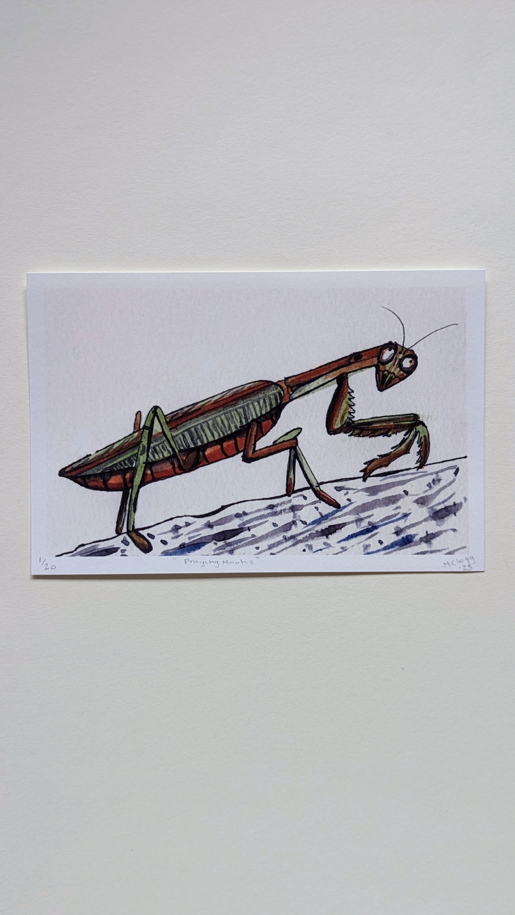 Praying Mantis — Limited Edition Art Print