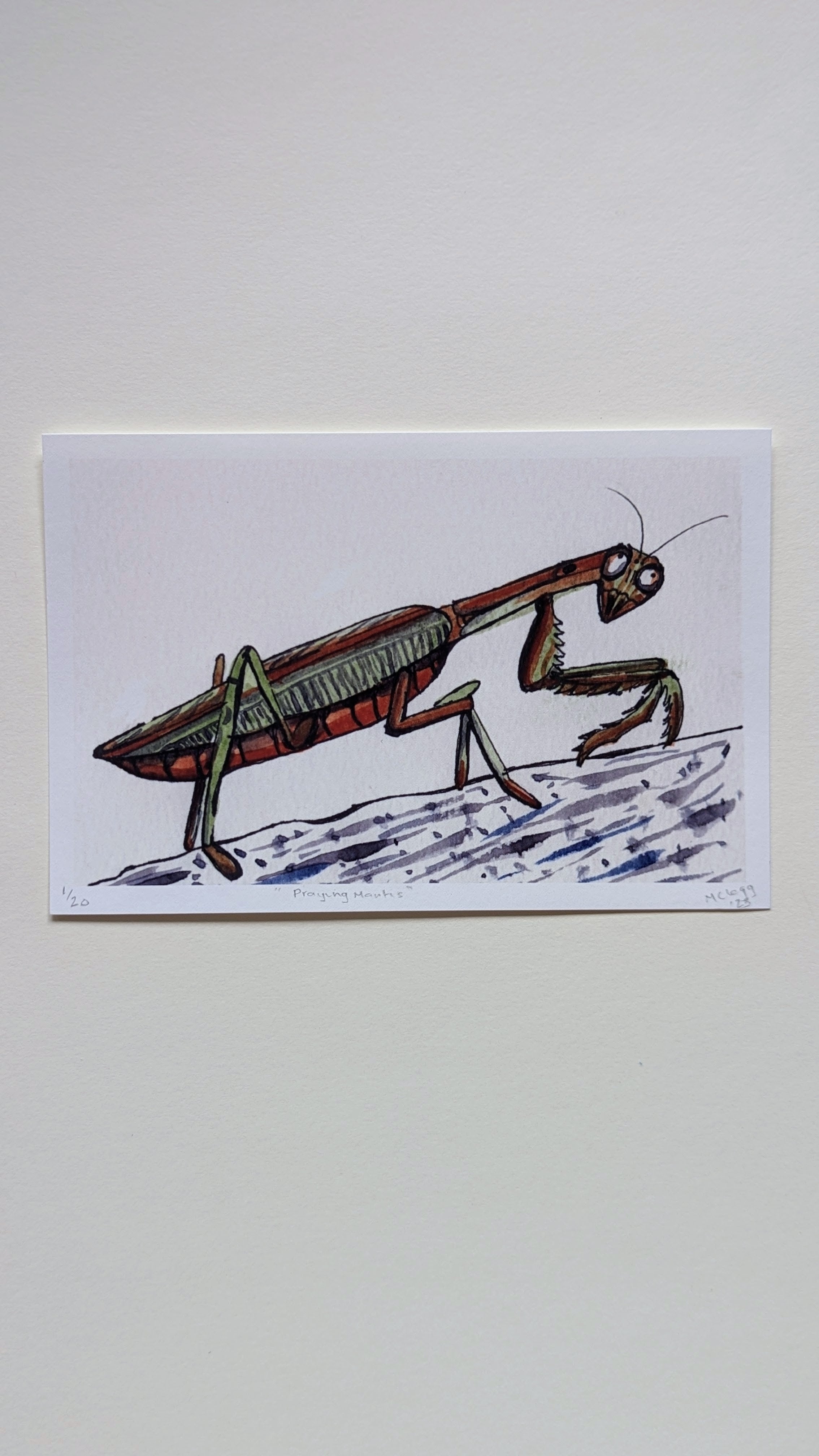 Praying Mantis — Limited Edition Art Print