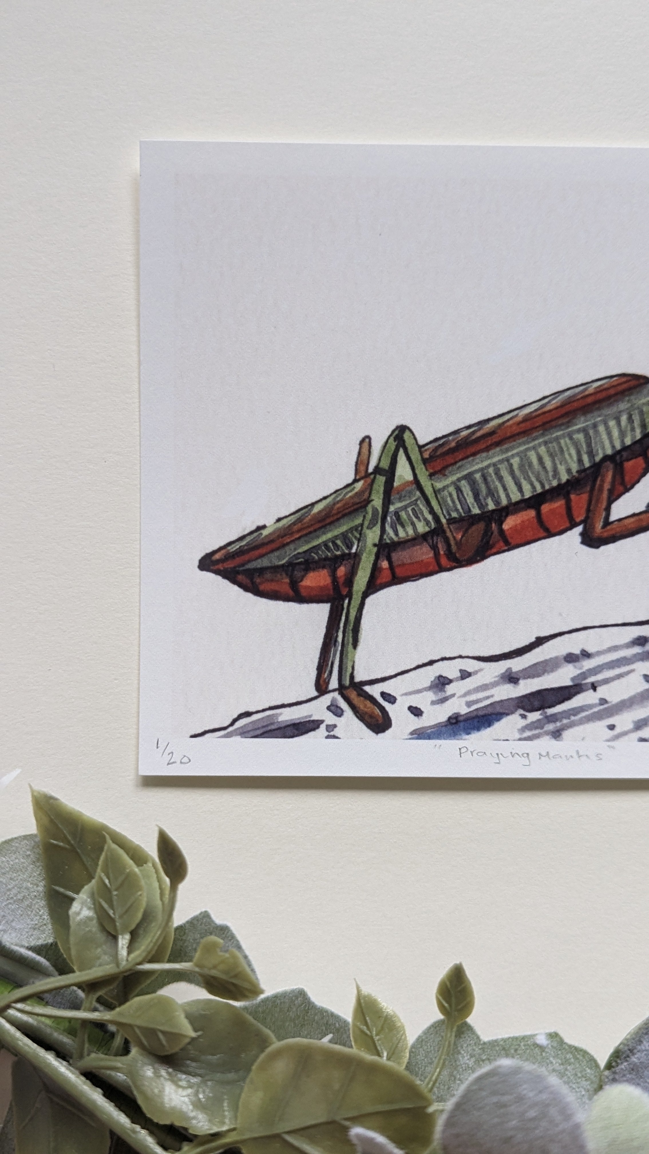 Praying Mantis — Limited Edition Art Print