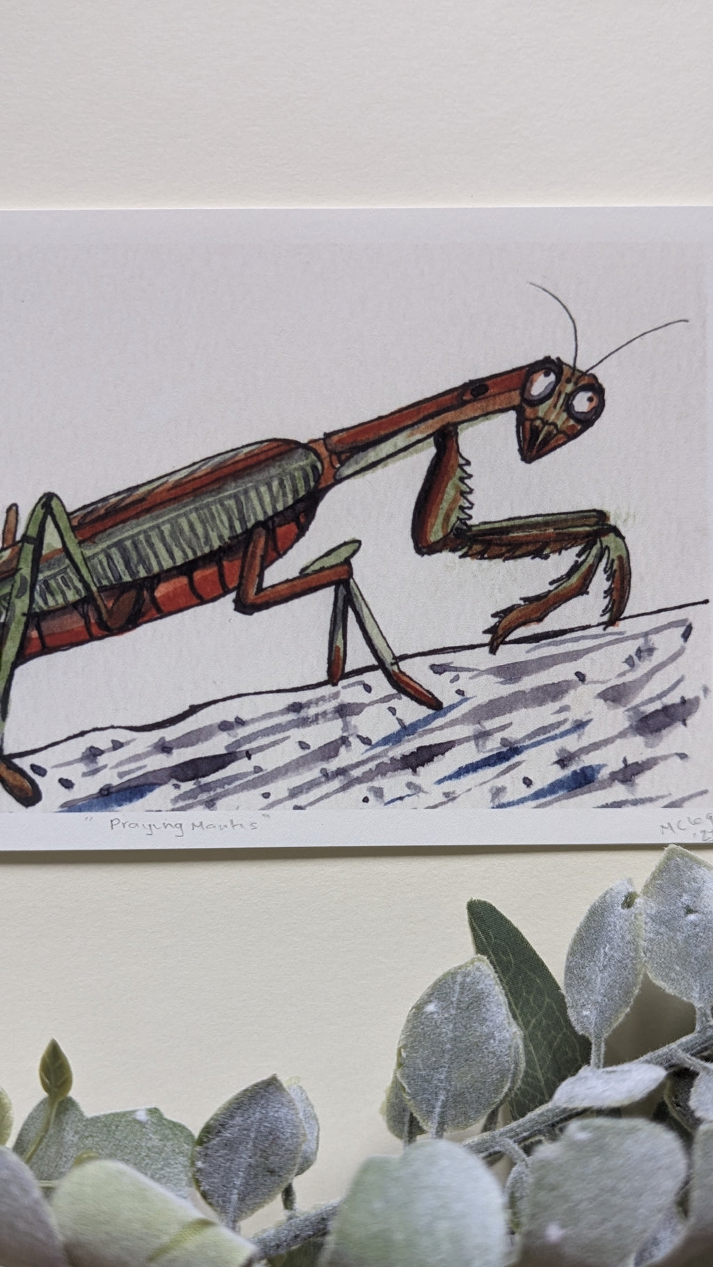 Praying Mantis — Limited Edition Art Print