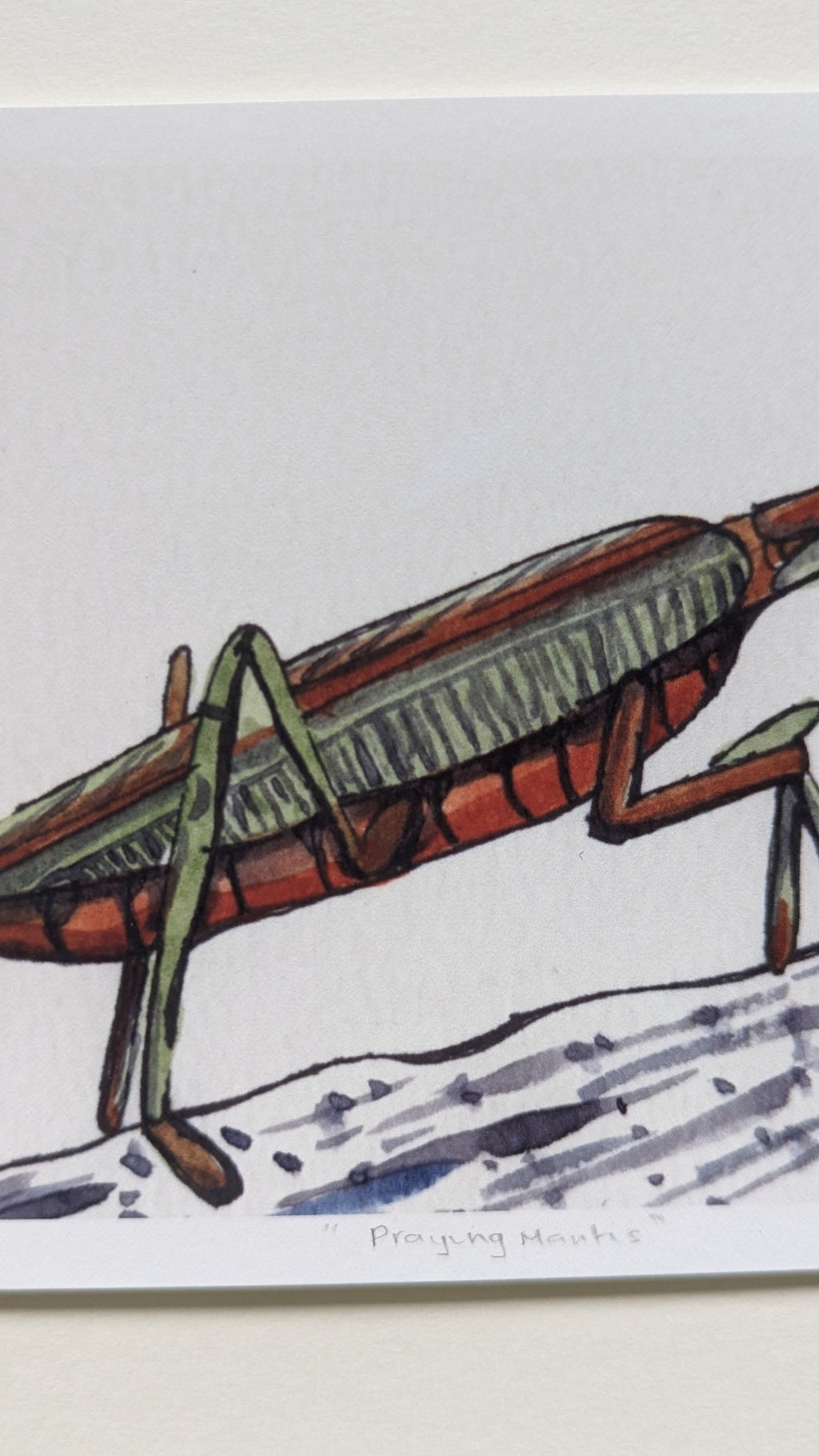 Praying Mantis — Limited Edition Art Print