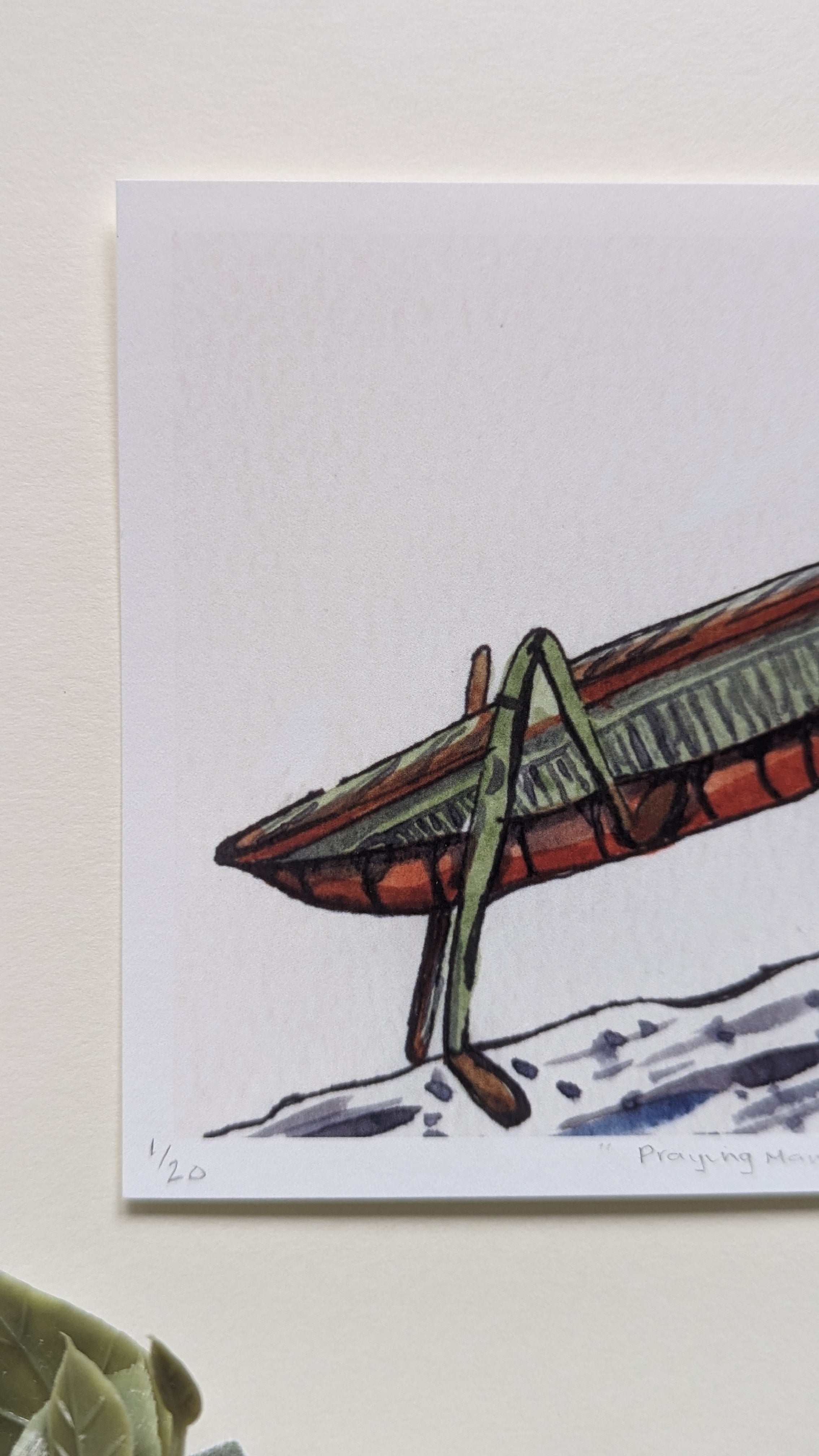 Praying Mantis — Limited Edition Art Print