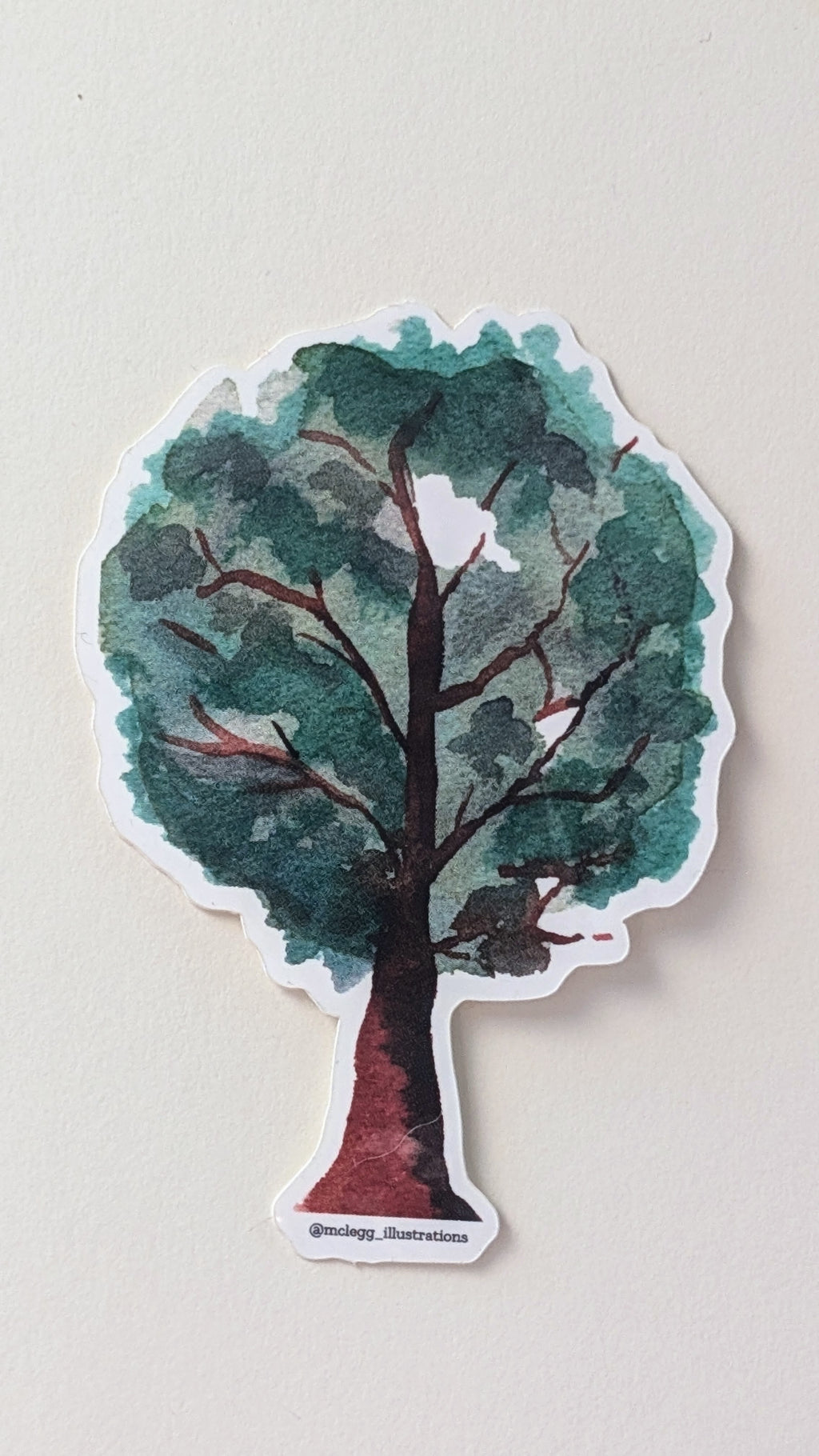 Watercolor Oak Tree Sticker