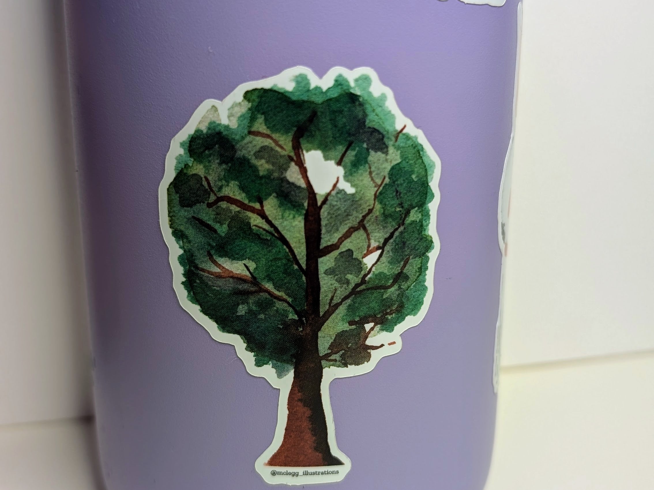 Watercolor Oak Tree Sticker