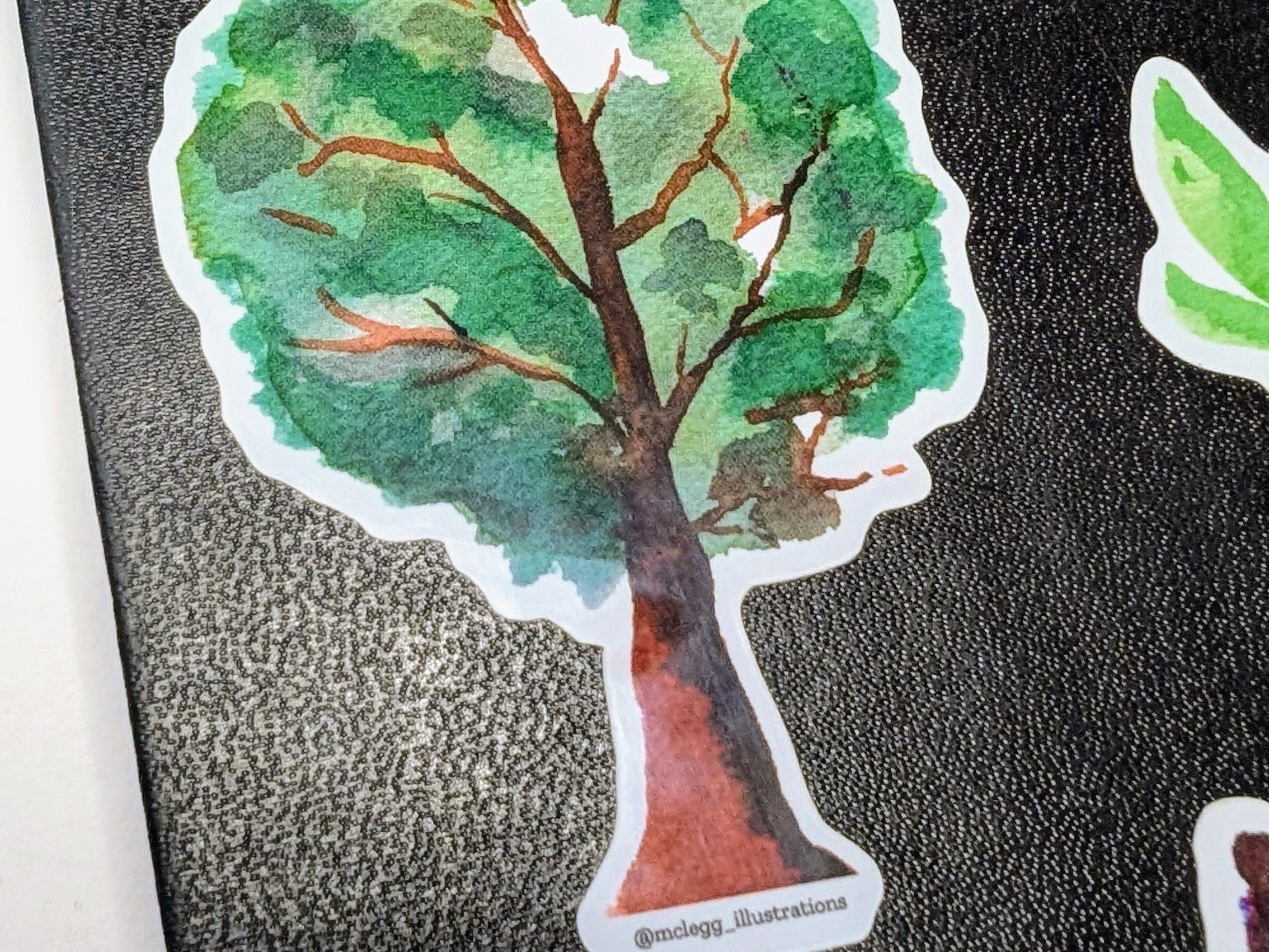 Watercolor Oak Tree Sticker