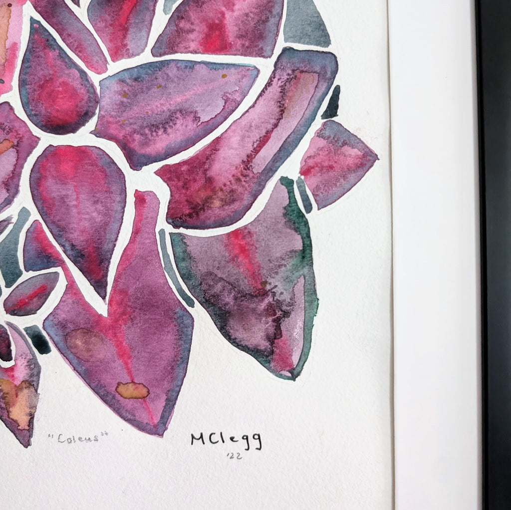 Coleus Plant Original Watercolor Painting, 9 x 12 inches, Framed or Unframed