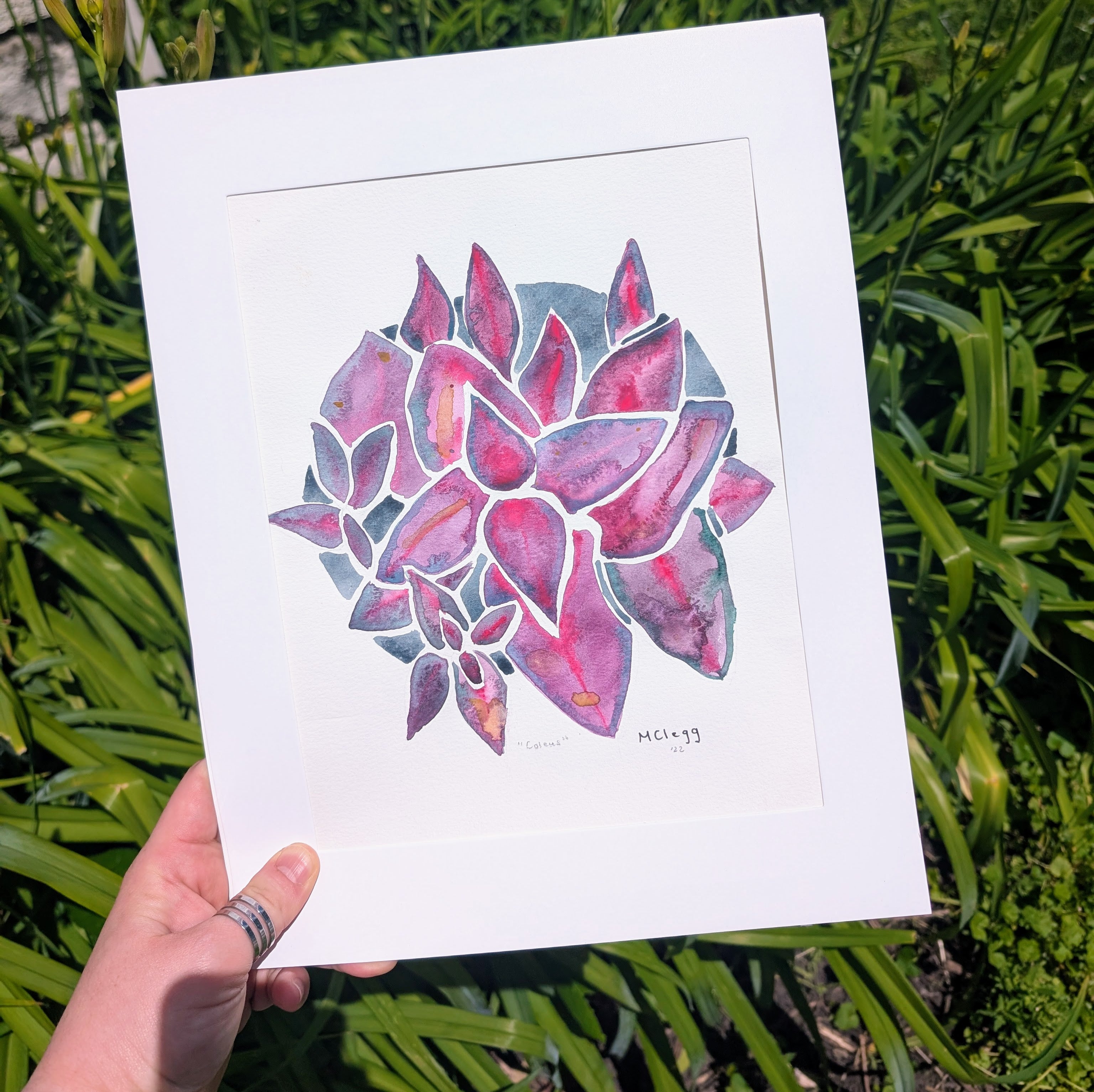 Coleus Plant Original Watercolor Painting, 9 x 12 inches, Framed or Unframed